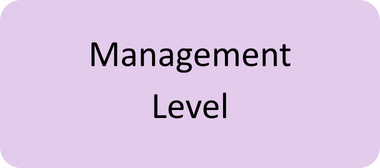 management level ea qualifications usa